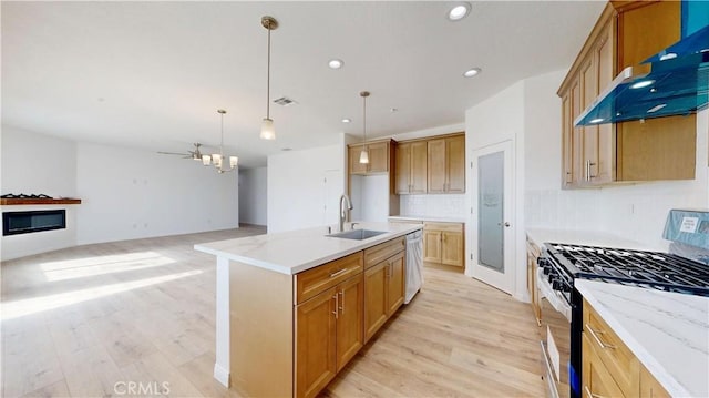 kitchen featuring exhaust hood, light wood-style floors, stainless steel appliances, and a sink