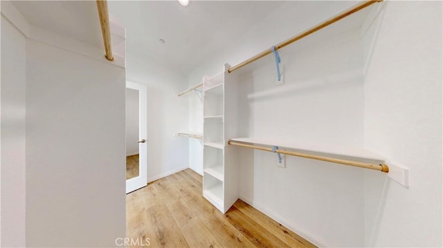 walk in closet featuring light wood-style flooring