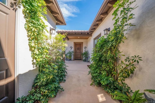view of exterior entry with stucco siding