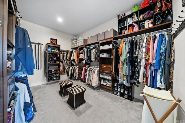 walk in closet with carpet flooring