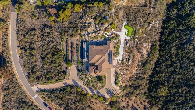 bird's eye view