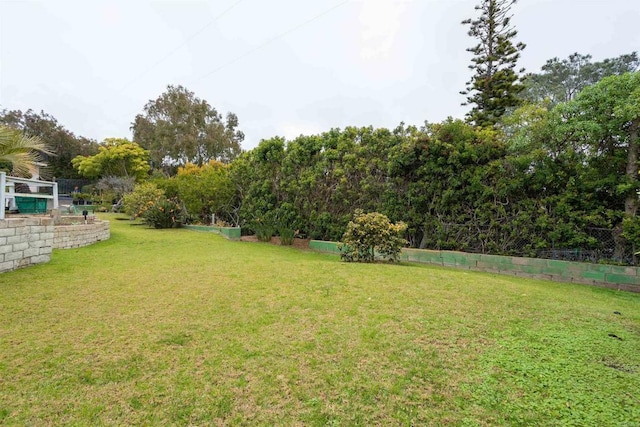 557 Canyon Dr, Solana Beach, CA 92075 - view of yard