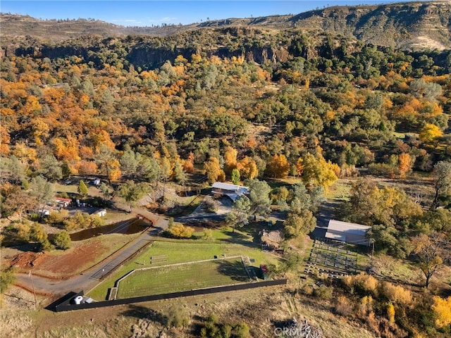 12352 Centerville Rd, Chico, CA 95928 - view of property location featuring a forest, a mountain backdrop, and rural landscape