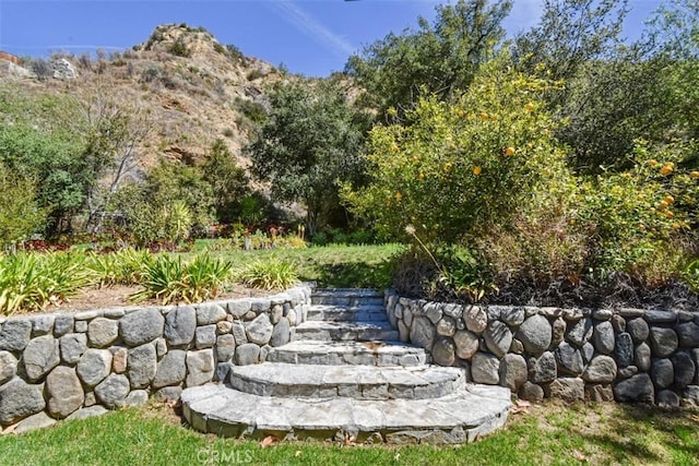 2447 Stonyvale Rd, Tujunga, CA 91042 - view of yard
