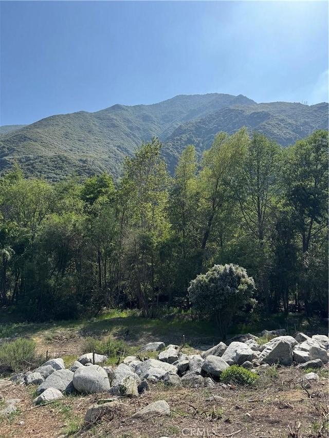 2447 Stonyvale Rd, Tujunga, CA 91042 - mountain view featuring a forest