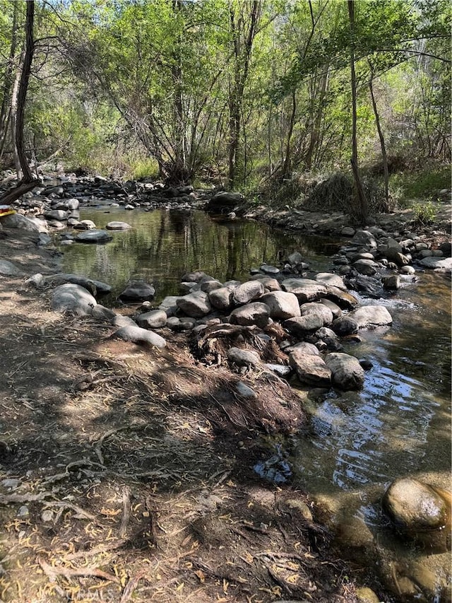 2447 Stonyvale Rd, Tujunga, CA 91042 - water view with a heavily wooded area