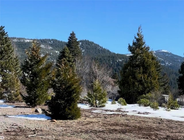 3333 Cedar Ln, Lake Almanor, CA 96137 - photo 2