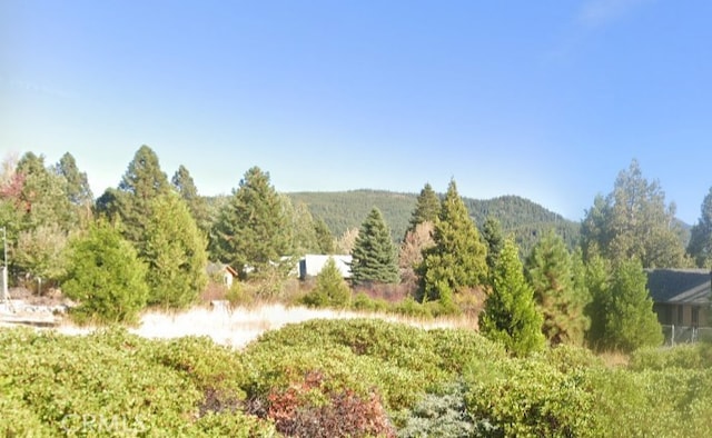 3333 Cedar Ln, Lake Almanor, CA 96137 - photo 6
