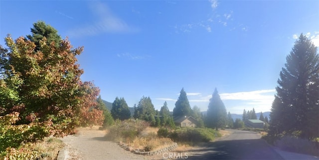 3333 Cedar Ln, Lake Almanor, CA 96137 - photo 3