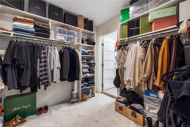 walk in closet featuring carpet flooring