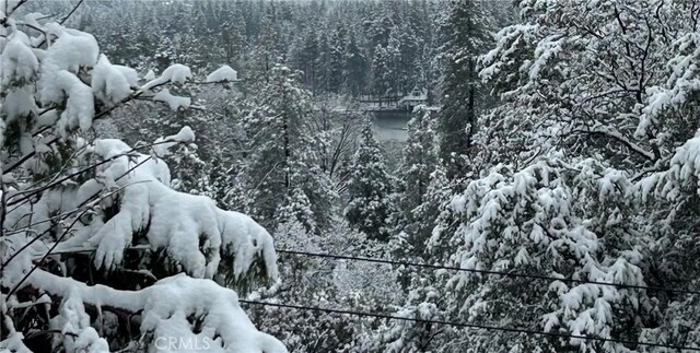 27596 N Bay Rd, Lake Arrowhead, CA 92352 - exterior view of a heavily wooded area