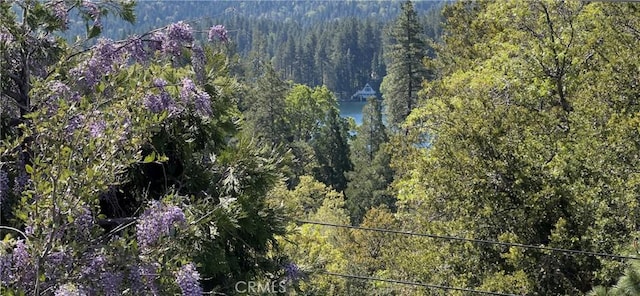27596 N Bay Rd, Lake Arrowhead, CA 92352 - view of property location featuring a heavily wooded area