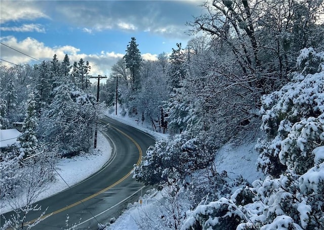 27596 N Bay Rd, Lake Arrowhead, CA 92352 - view of asphalt street