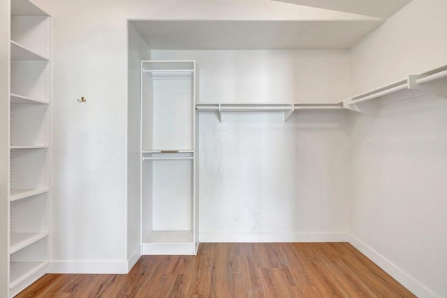 walk in closet featuring wood finished floors