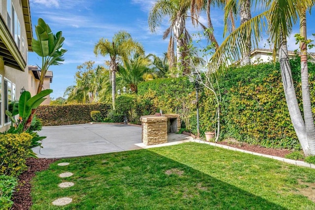 view of yard featuring a patio area