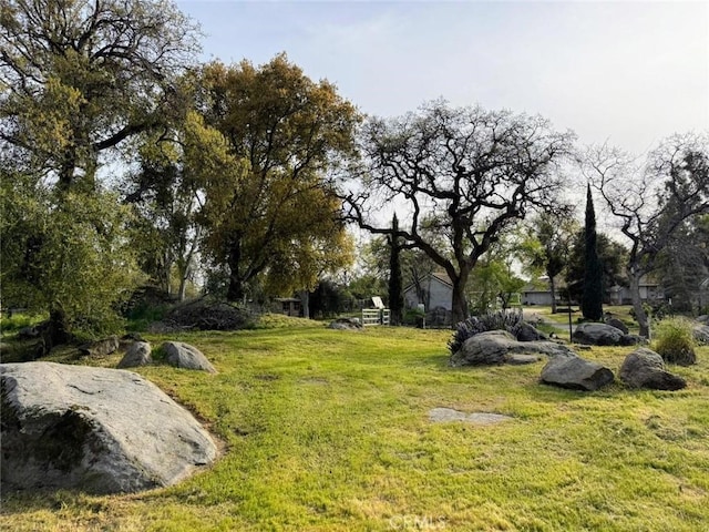 47409 Thunderhill Ln, Squaw Valley, CA 93675 - view of grassy yard