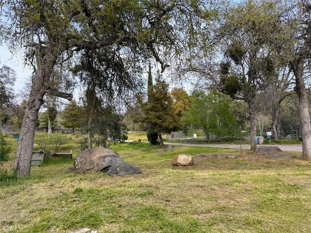 47409 Thunderhill Ln, Squaw Valley, CA 93675 - view of yard featuring view of scattered trees