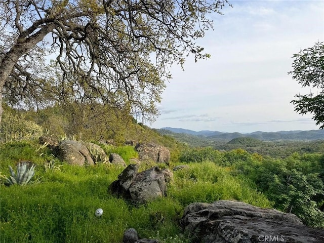 47409 Thunderhill Ln, Squaw Valley, CA 93675 - view of mountain background