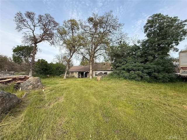 47409 Thunderhill Ln, Squaw Valley, CA 93675 - view of green lawn
