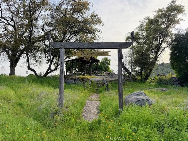 47409 Thunderhill Ln, Squaw Valley, CA 93675 - view of yard