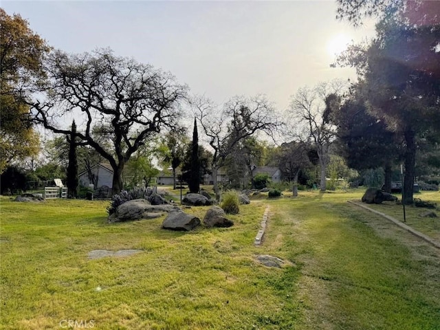 47409 Thunderhill Ln, Squaw Valley, CA 93675 - view of grassy yard