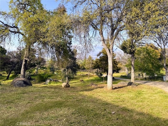 47409 Thunderhill Ln, Squaw Valley, CA 93675 - view of green lawn with view of scattered trees
