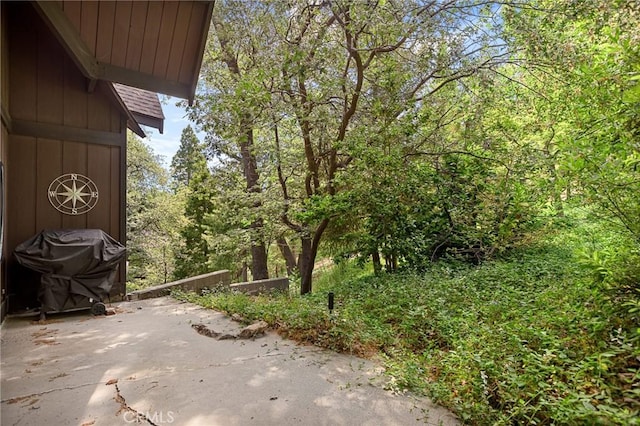 981 Lucerne Ln Unit 3, Lake Arrowhead, CA 92352 - photo 12
