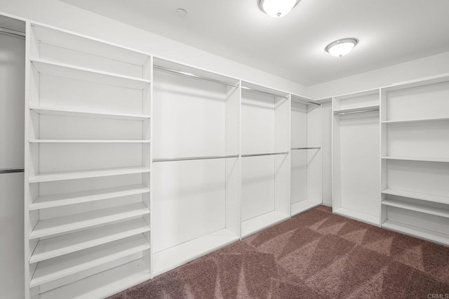 walk in closet featuring dark carpet
