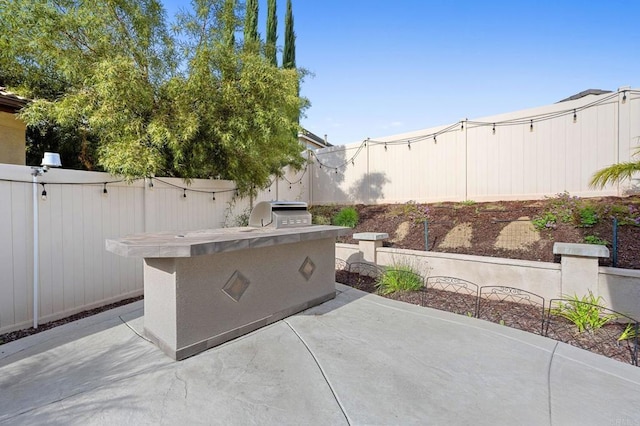 view of patio / terrace with grilling area, area for grilling, and a fenced backyard