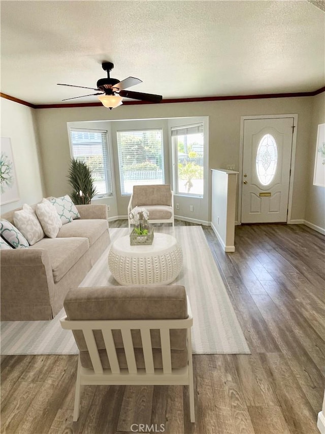 living room featuring ceiling fan, a textured ceiling, wood finished floors, and ornamental molding