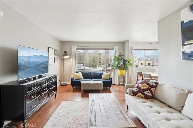 living area with wood finished floors