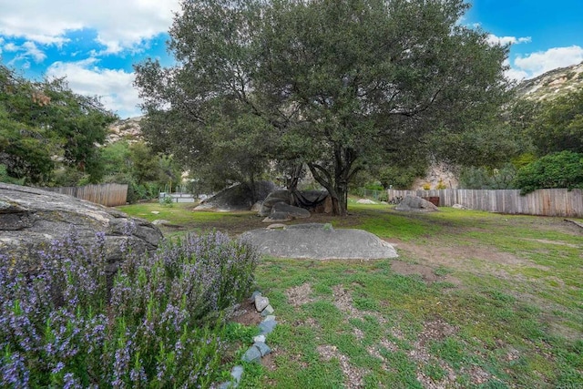 25318 Kerri Ln, Ramona, CA 92065 - view of yard featuring fence