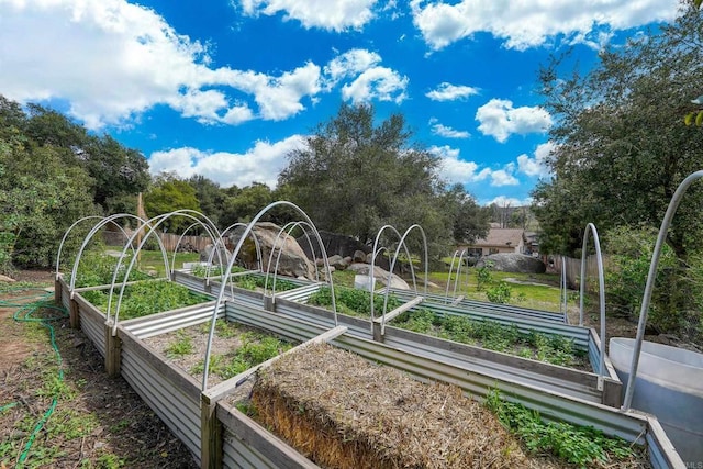 25318 Kerri Ln, Ramona, CA 92065 - exterior space featuring a vegetable garden