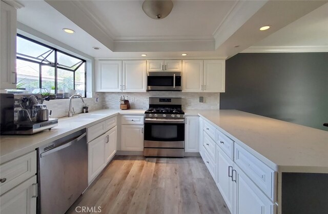 2512 Santa Ana Ave Unit 9, Costa Mesa, CA 92627 - kitchen featuring stainless steel appliances, a tray ceiling, crown molding, a sink, and white cabinets