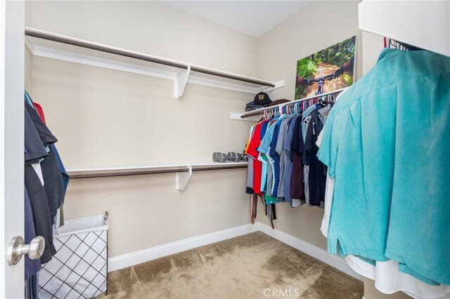 34595 Collier Falls Ct, Temecula, CA 92592 - spacious closet with carpet flooring