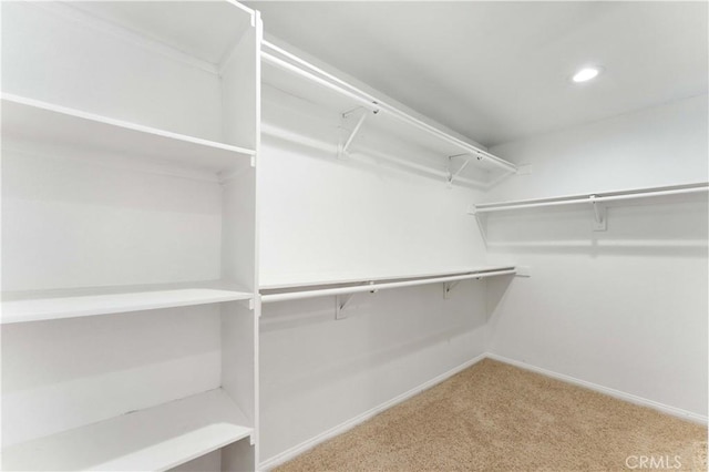 spacious closet with carpet