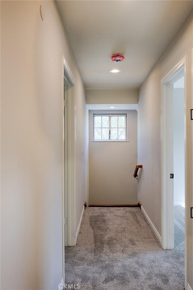 corridor featuring baseboards and carpet