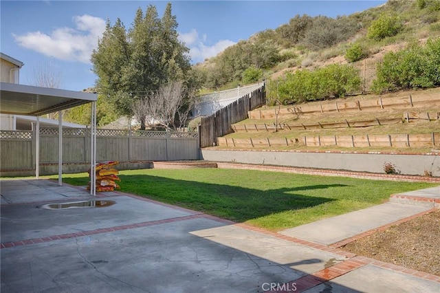 view of yard with a patio and a fenced backyard