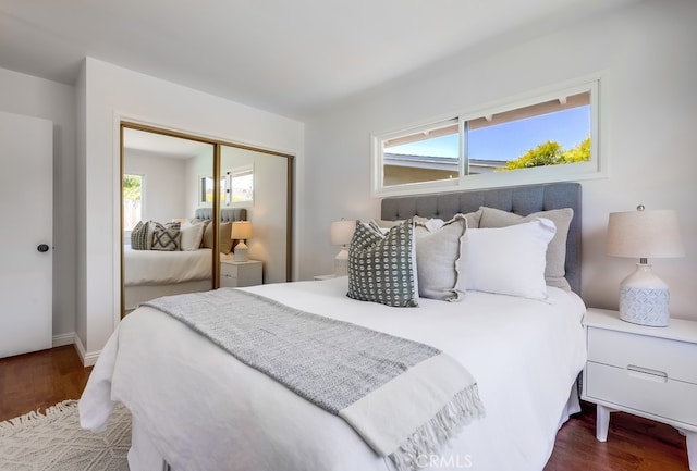 bedroom featuring wood finished floors and a closet