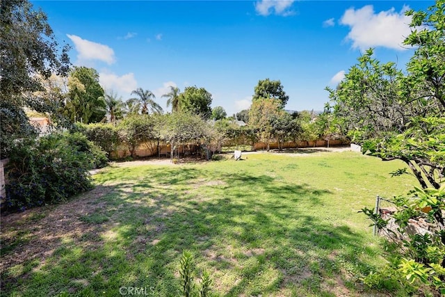 13771 De Garmo Ave, Rancho Cascades, CA 91342 - view of yard