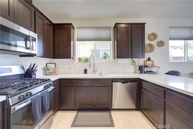kitchen featuring dark brown cabinetry, a peninsula, light countertops, a sink, and stainless steel appliances