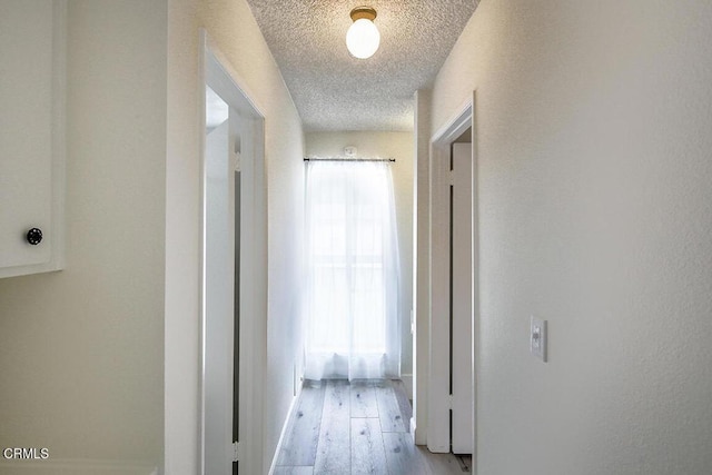 68321/2 Saint Estaban St, Los Angeles, CA 91042 - photo 9