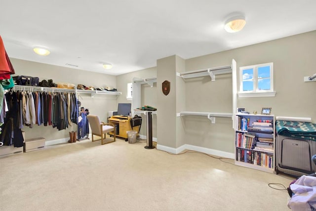 spacious closet featuring carpet flooring