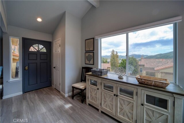 2318 Cranesbill Pl, Avila Beach, CA 93424 - entryway with a mountain view and wood finished floors