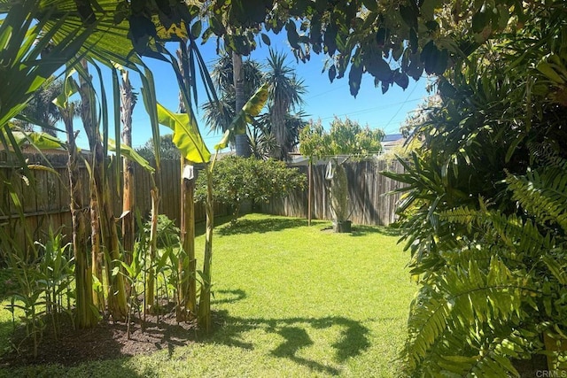 view of yard with a fenced backyard