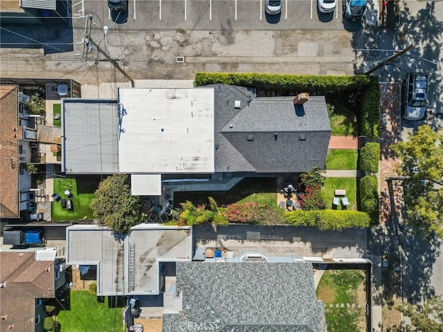 bird's eye view