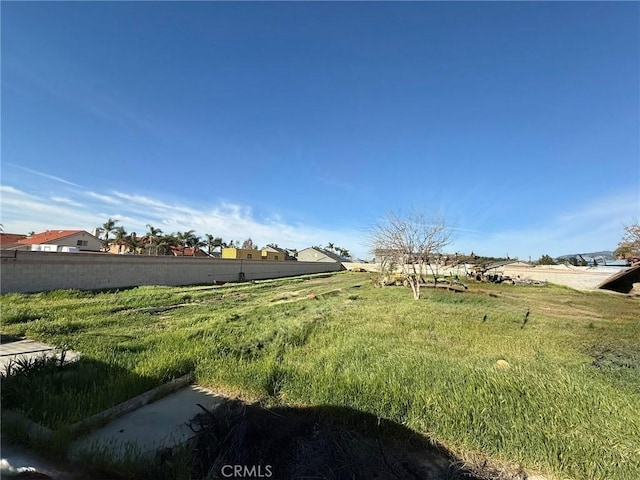 view of yard