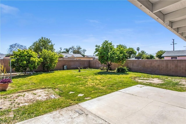 view of yard featuring a patio area and a fenced backyard