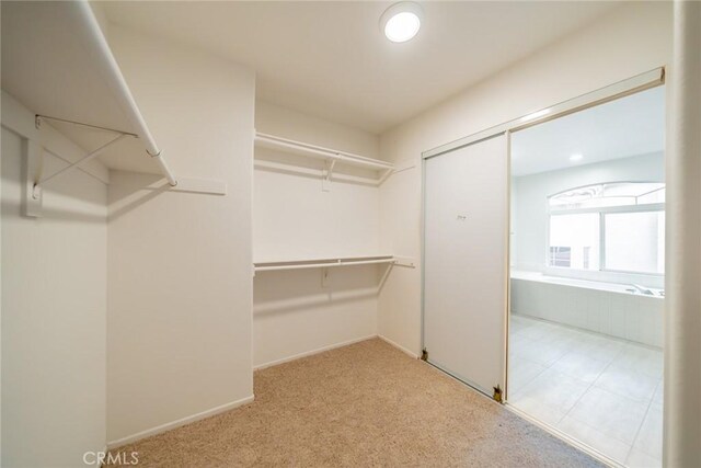 walk in closet with carpet flooring