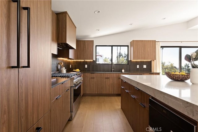 kitchen featuring high end range, a sink, modern cabinets, and lofted ceiling